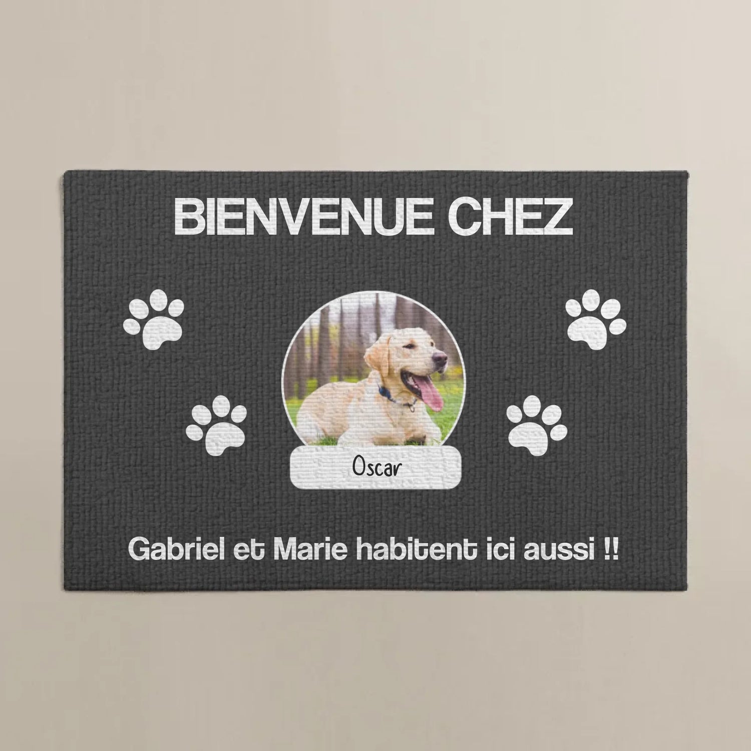 imgi_4_6836bbda83789_large