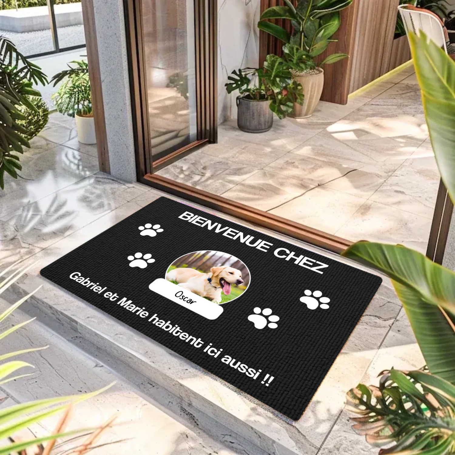 imgi_6_6836bbd402e2e_large