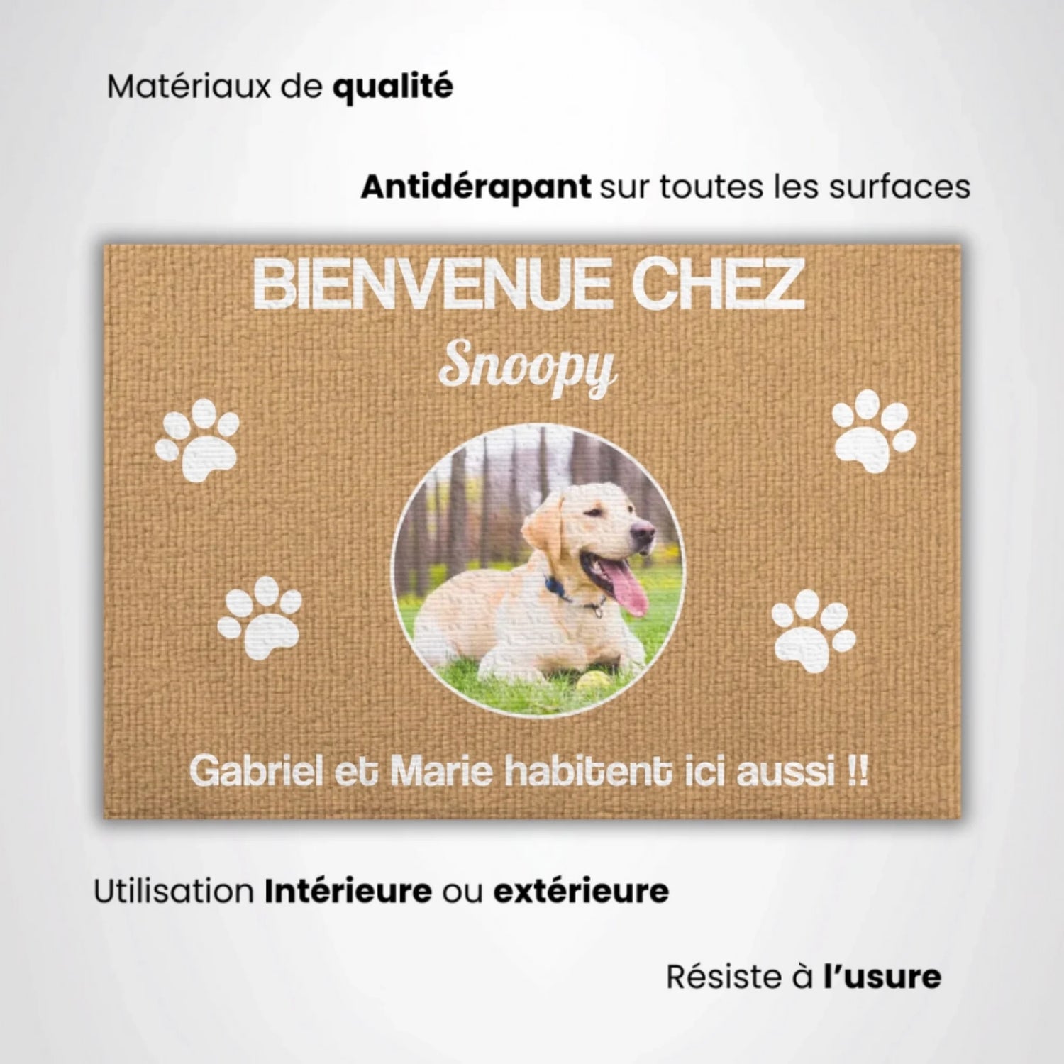 Ajouter un titre - 2025-11-17T170754.706