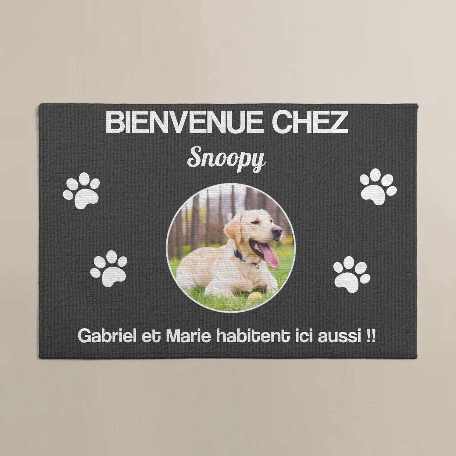 imgi_4_6836bbda83789_large